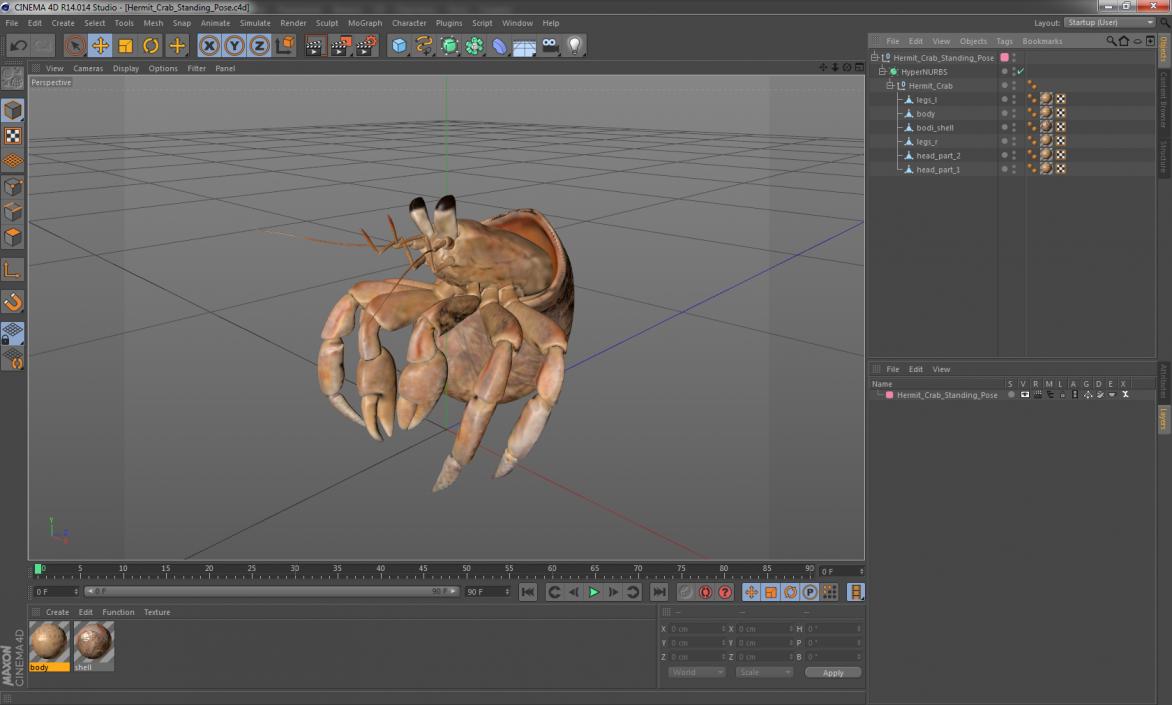 3D model Hermit Crab Standing Pose