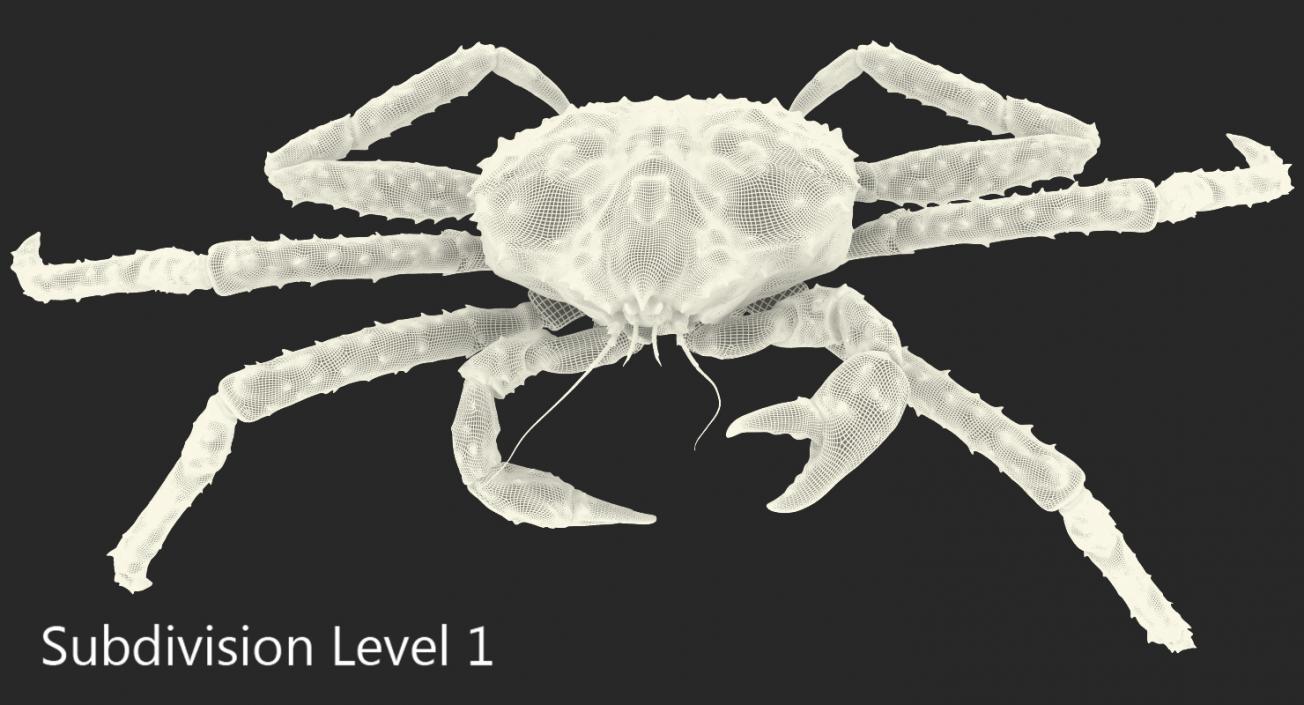 3D Kamchatka Crab Fighting Pose model