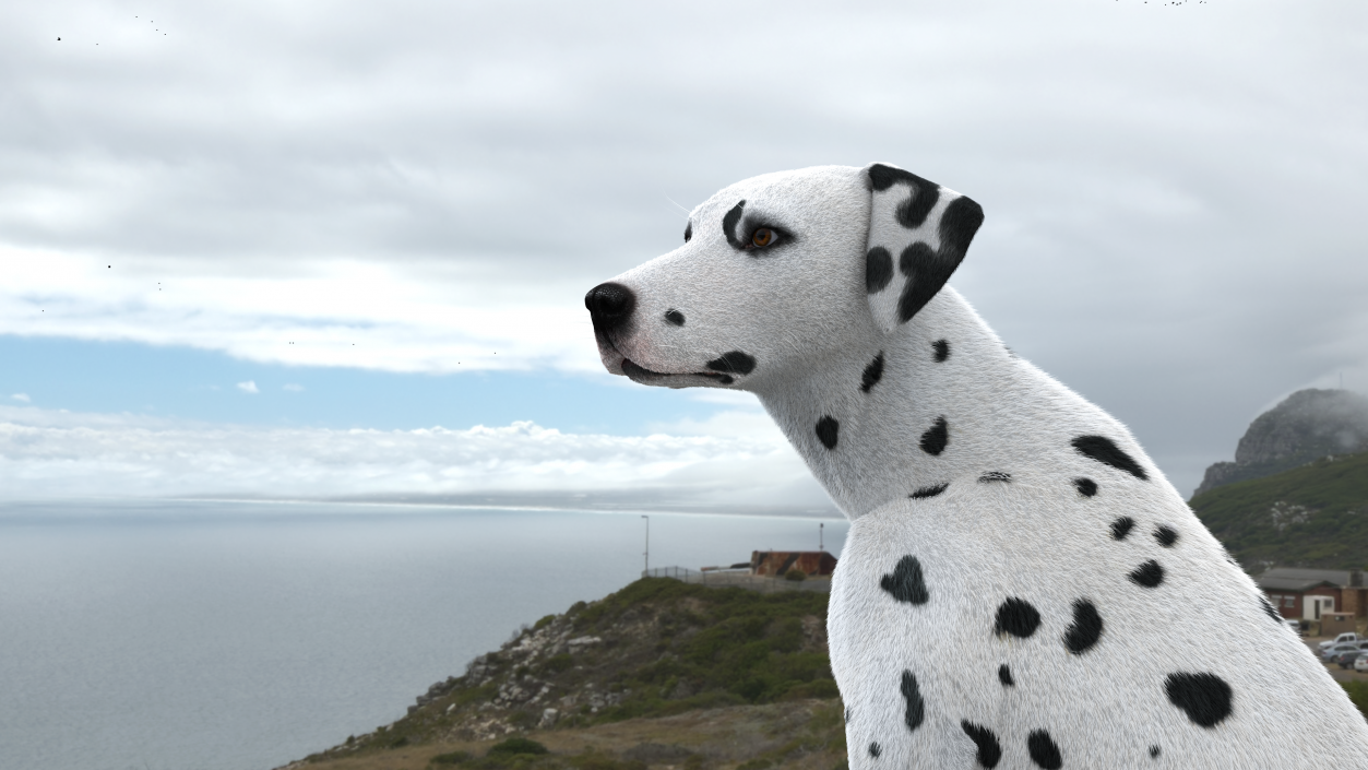 Dalmatian Dog Sitting Pose Fur 2 3D