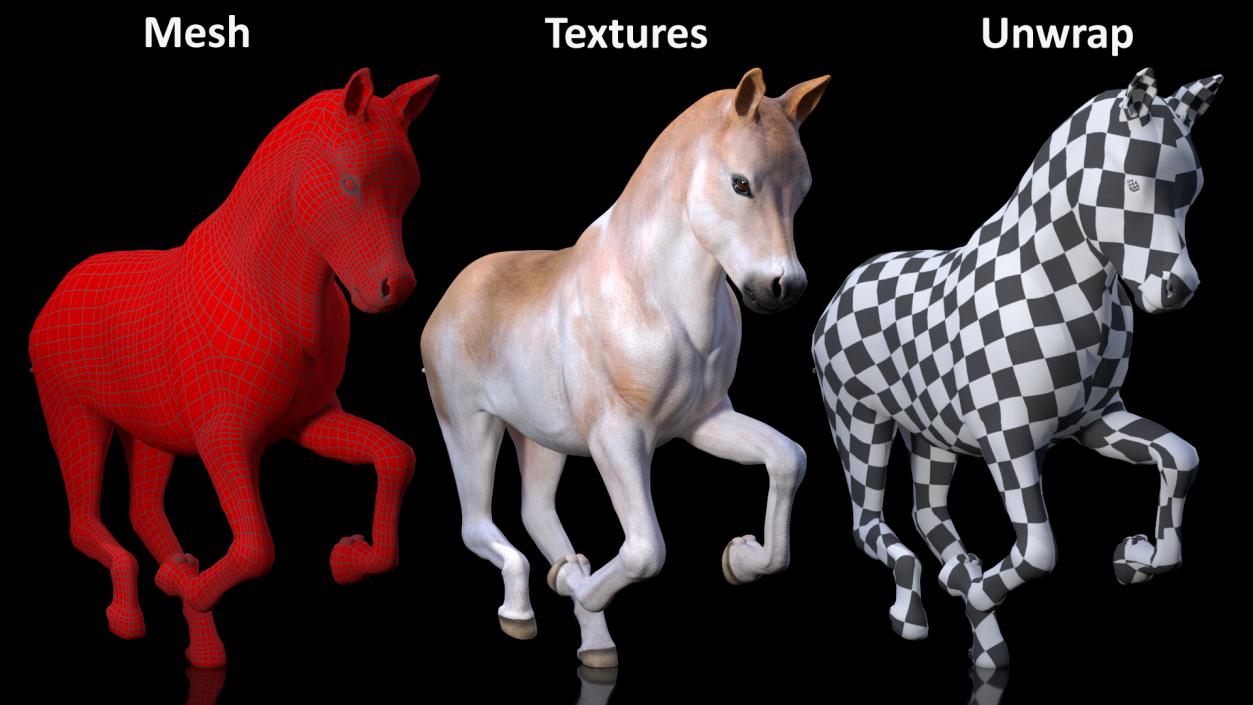 3D model Galloping Shetland Pony 2