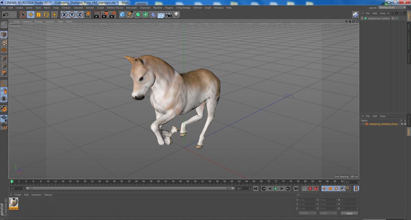 3D model Galloping Shetland Pony 2