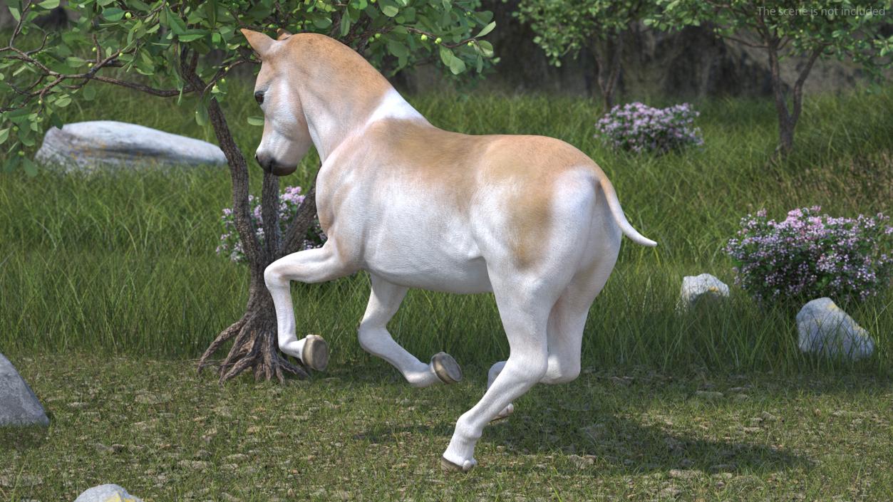 3D model Galloping Shetland Pony 2