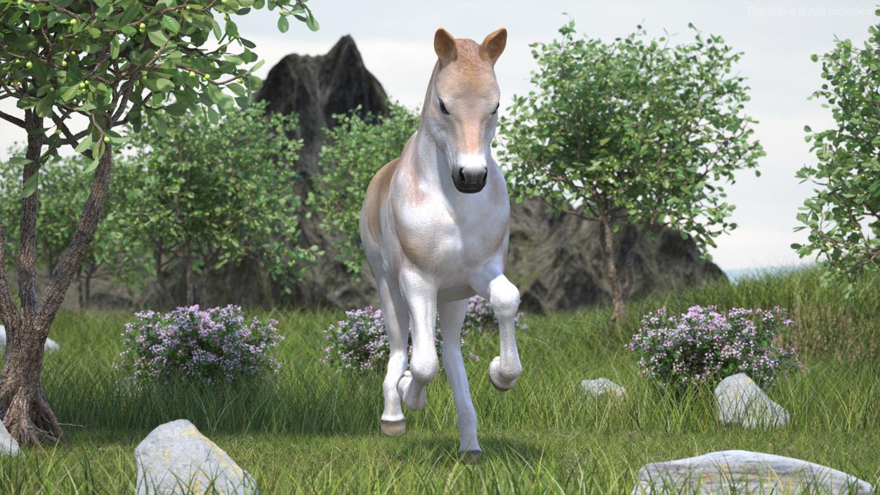 3D model Galloping Shetland Pony 2