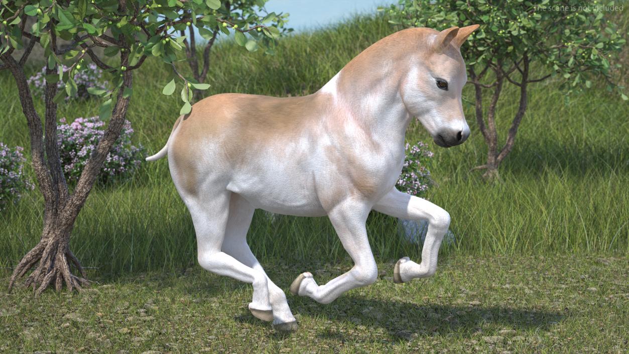 3D model Galloping Shetland Pony 2