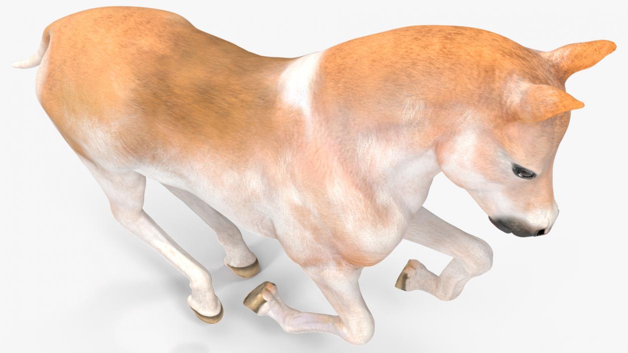 3D model Galloping Shetland Pony 2