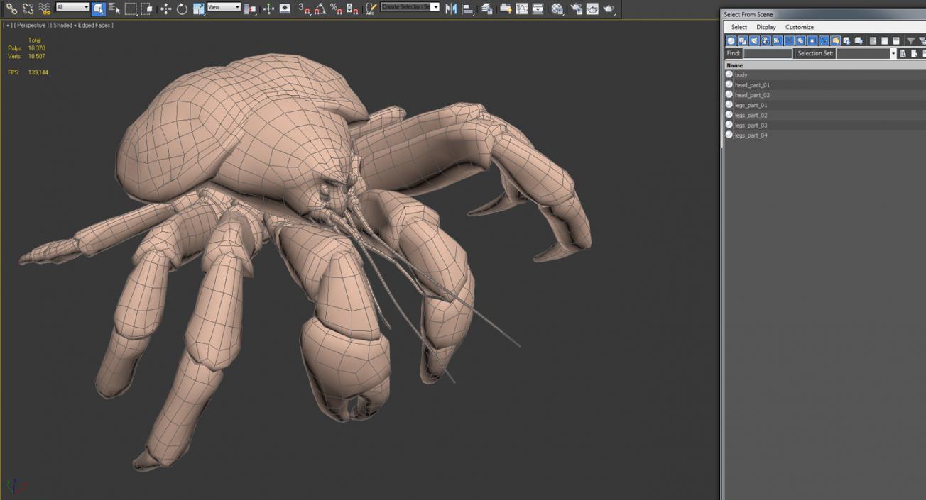 Coconut Crab 3D