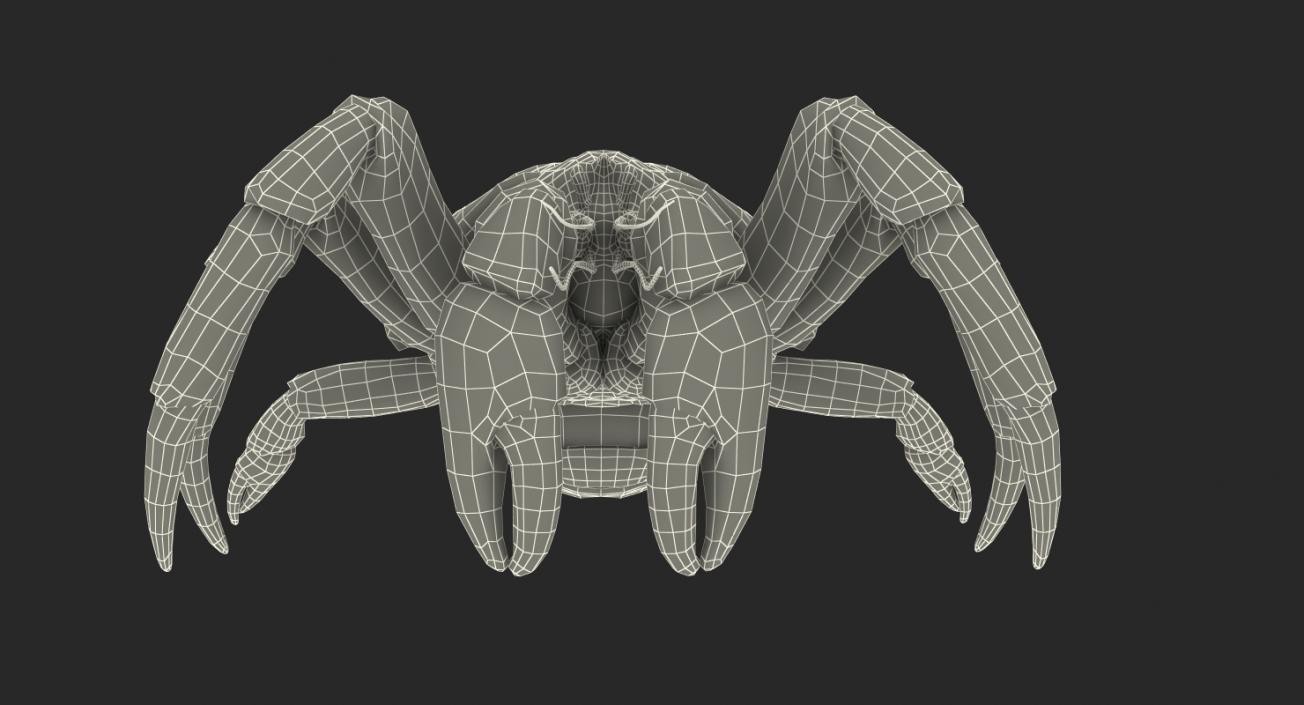 Coconut Crab 3D