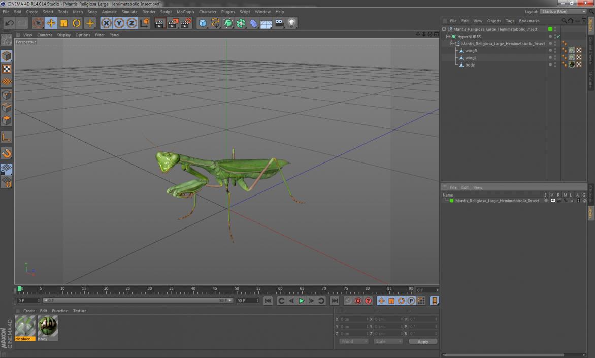3D Mantis Religiosa Large Hemimetabolic Insect model