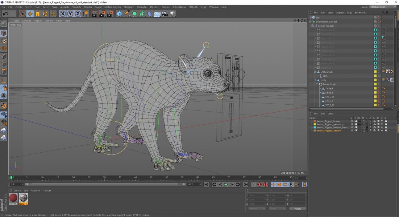 3D Lemur Rigged for Cinema 4D