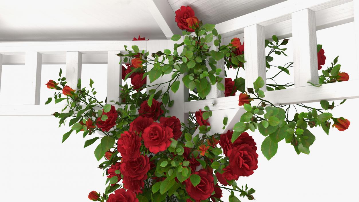 3D Gazebo Covered with Red Rose model