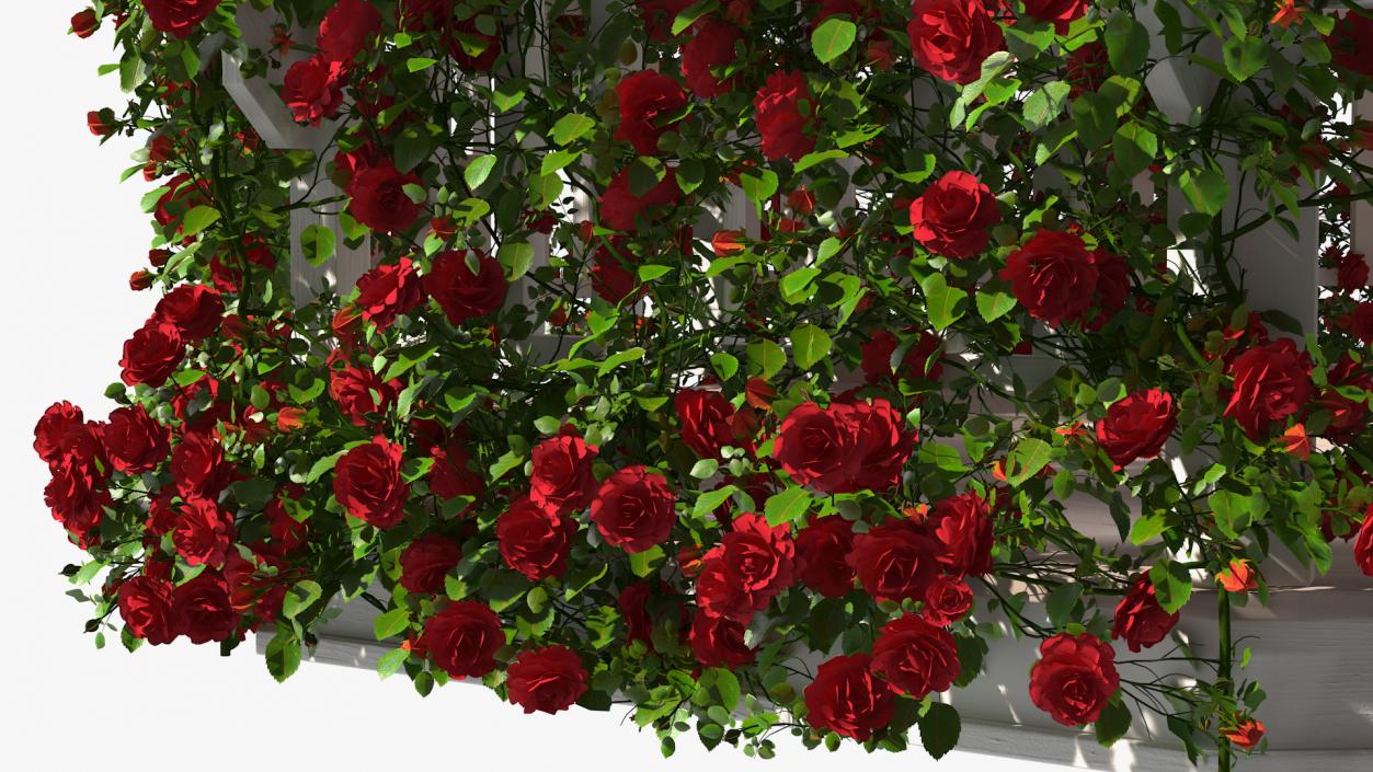 3D Gazebo Covered with Red Rose model