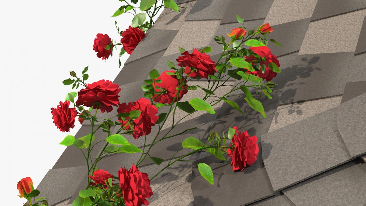 3D Gazebo Covered with Red Rose model