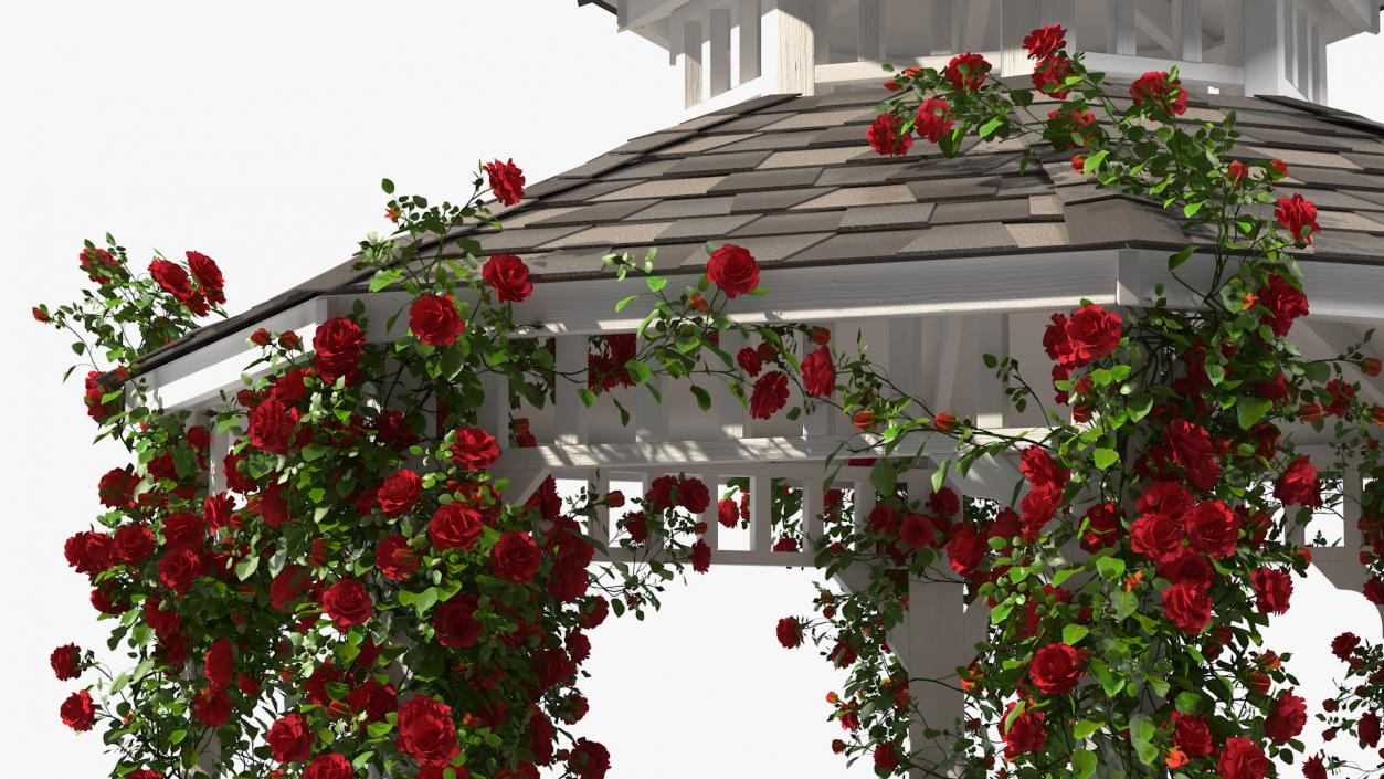 3D Gazebo Covered with Red Rose model