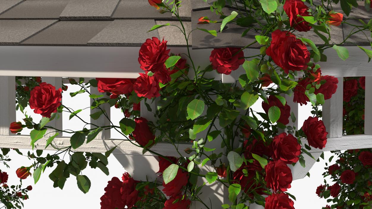 3D Gazebo Covered with Red Rose model