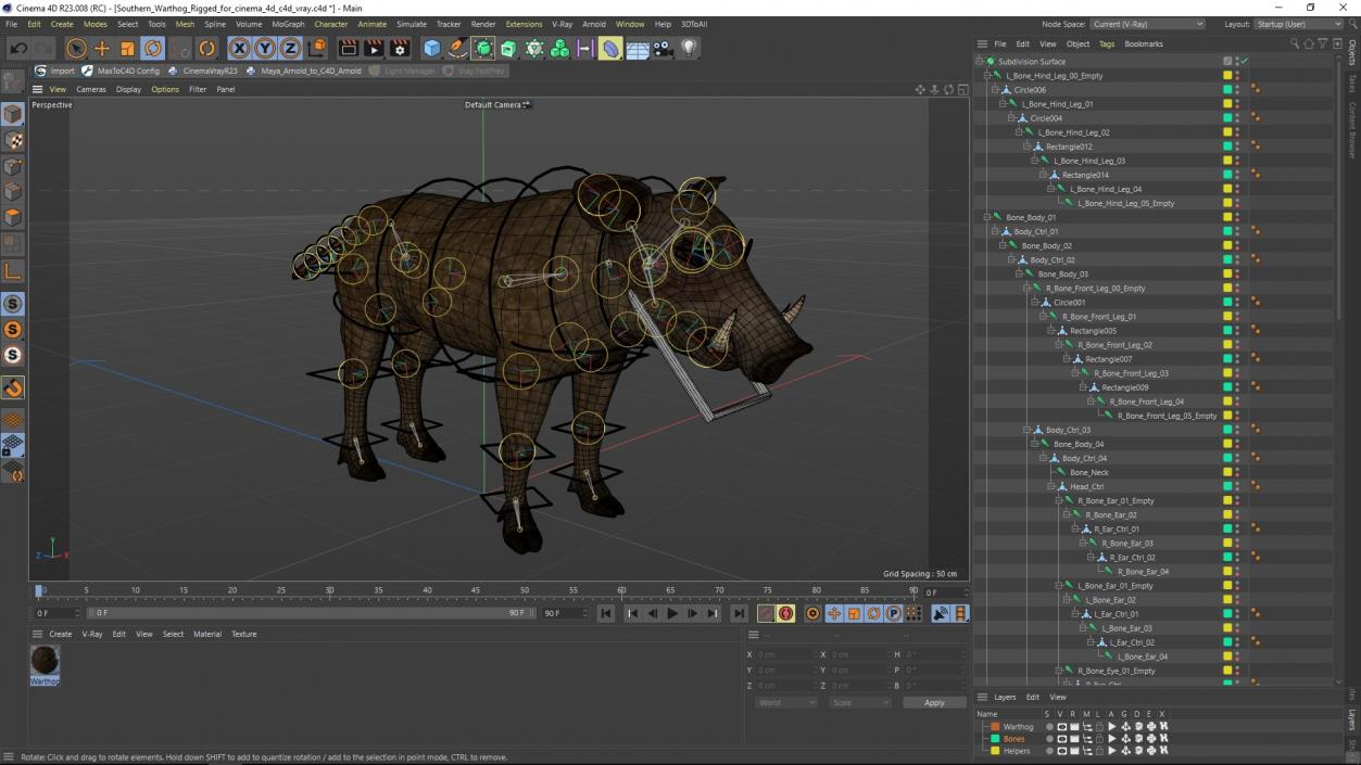 Southern Warthog Rigged for Cinema 4D 3D