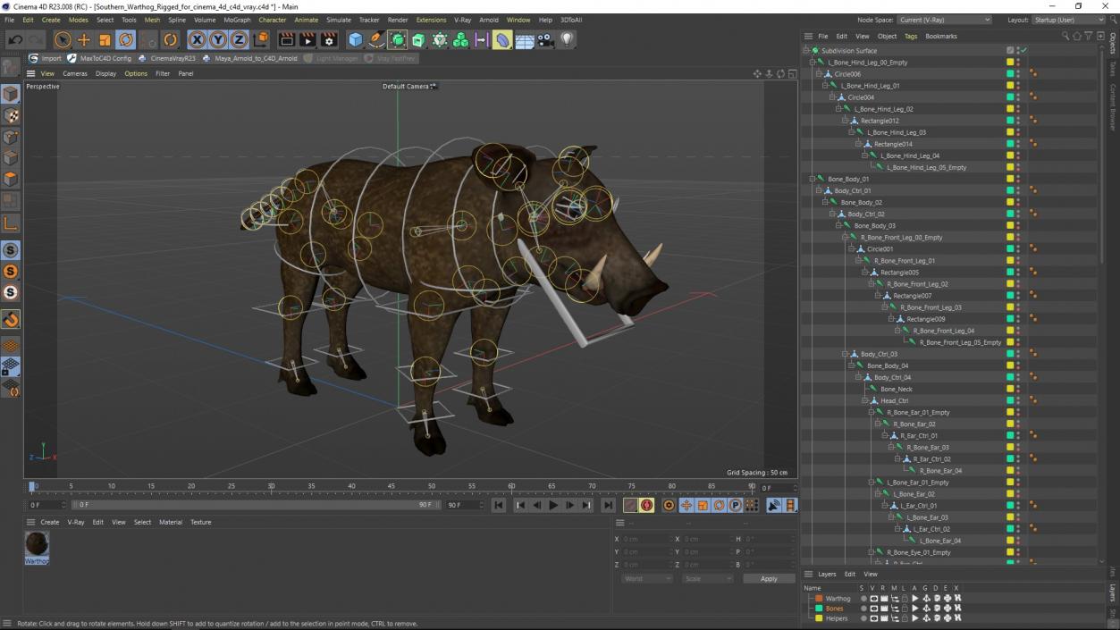 Southern Warthog Rigged for Cinema 4D 3D