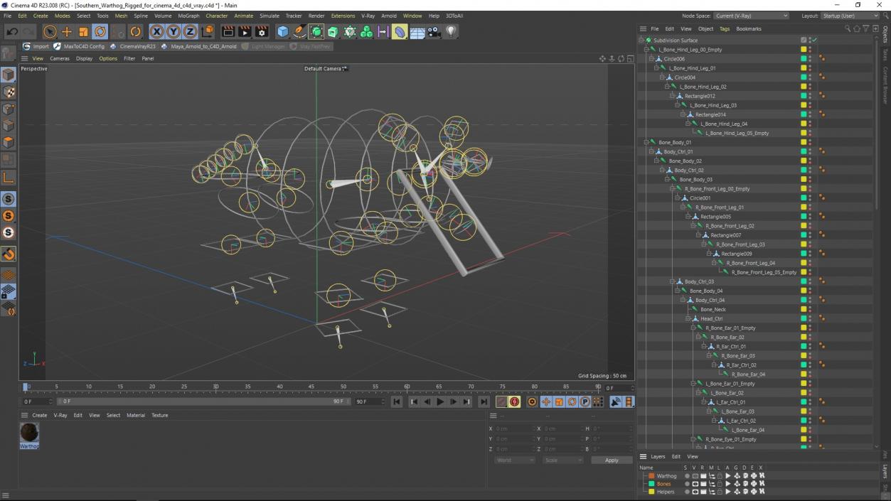 Southern Warthog Rigged for Cinema 4D 3D