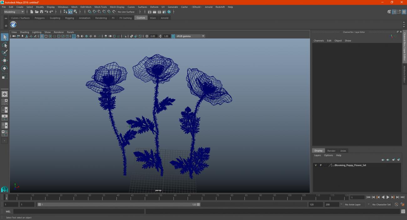 3D model Blooming Poppy Flower Set