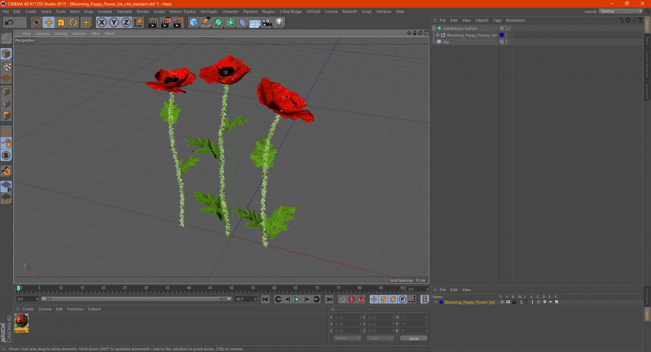 3D model Blooming Poppy Flower Set