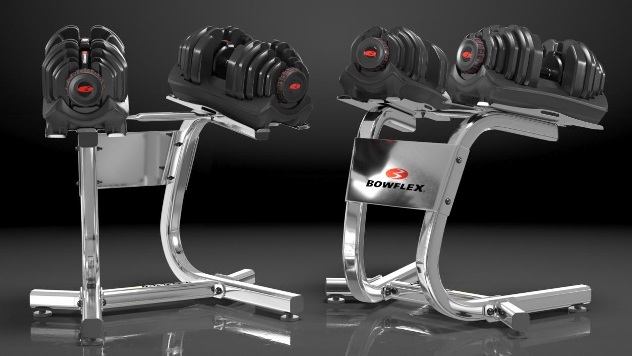 Bowflex SelectTech Dumbbell with Stand Set 3D