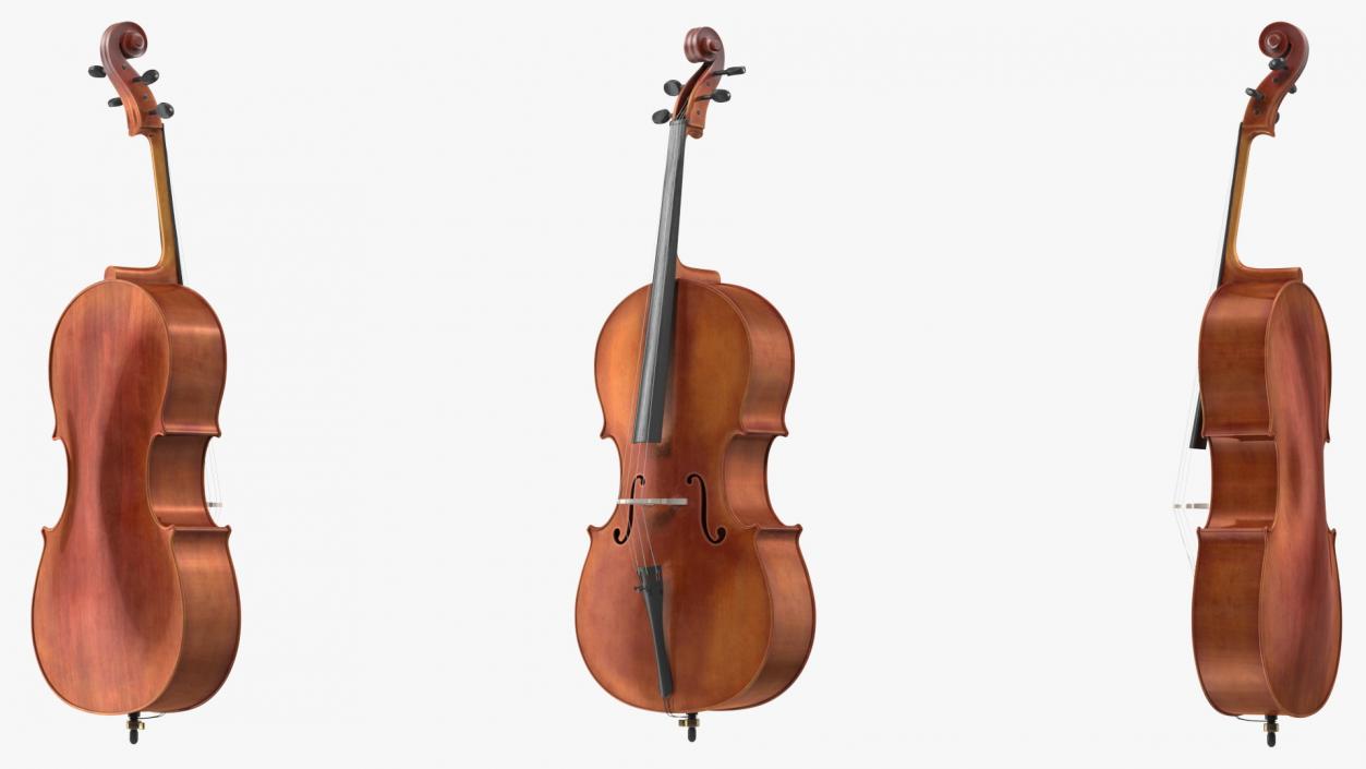 Classic Cello Instrument 3D model