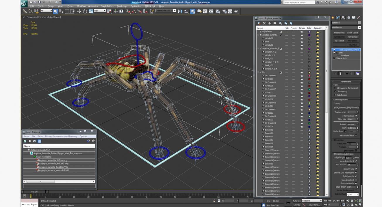 Argiope Aurantia Spider Rigged with Fur 3D model