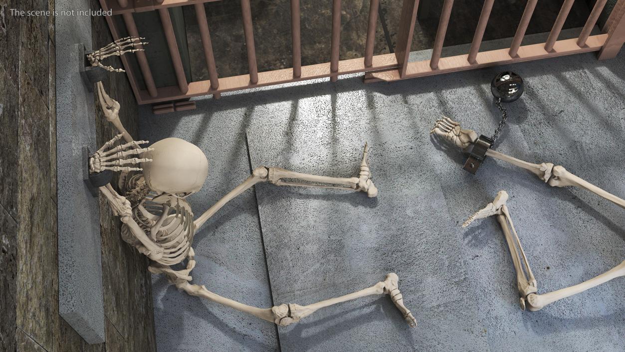 Prison Space with Male Skeleton Collection 3D