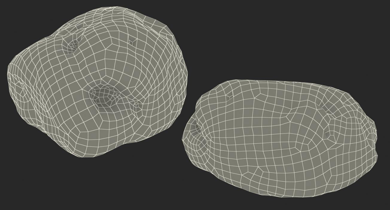 3D model Small Sea Rock with Holes