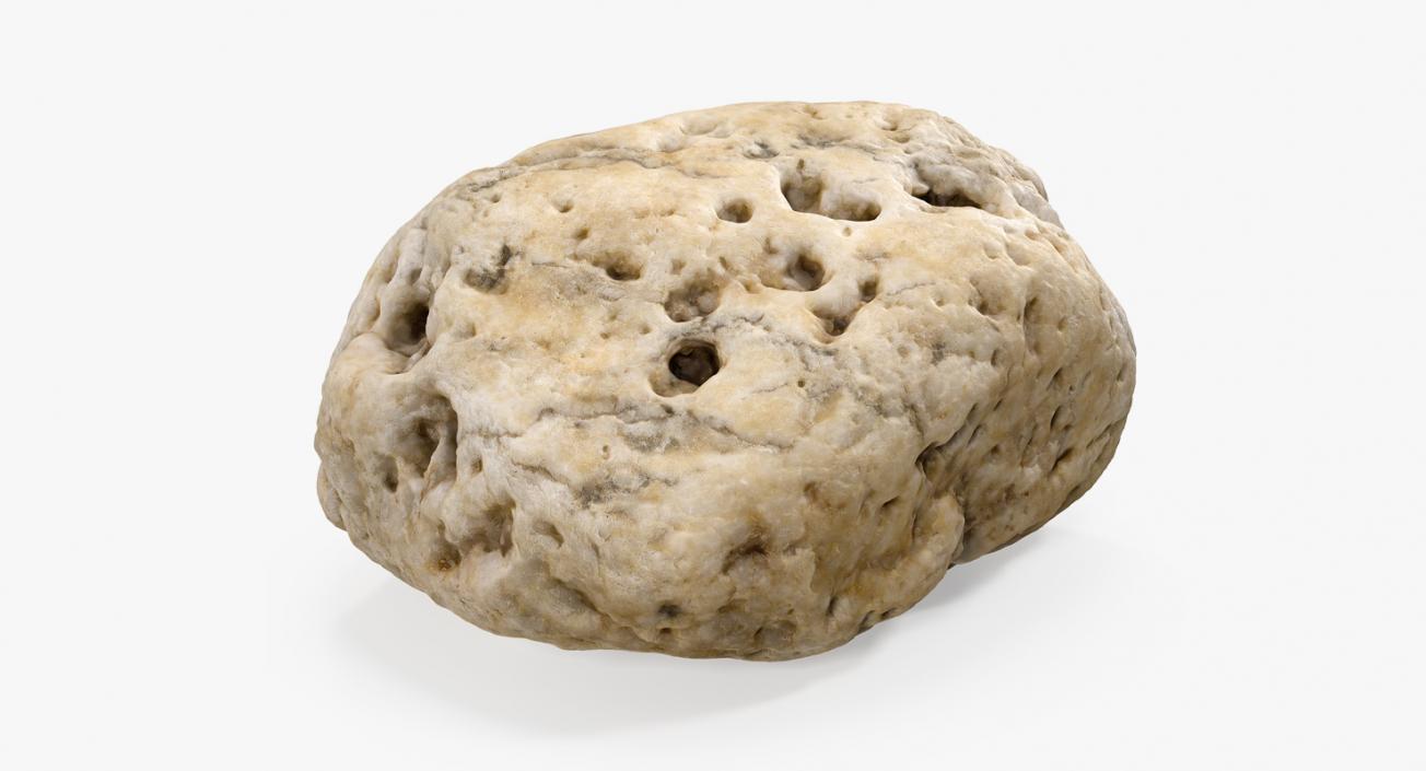 3D model Small Sea Rock with Holes