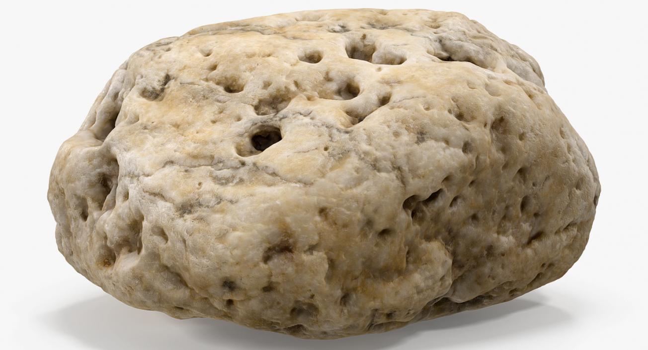 3D model Small Sea Rock with Holes