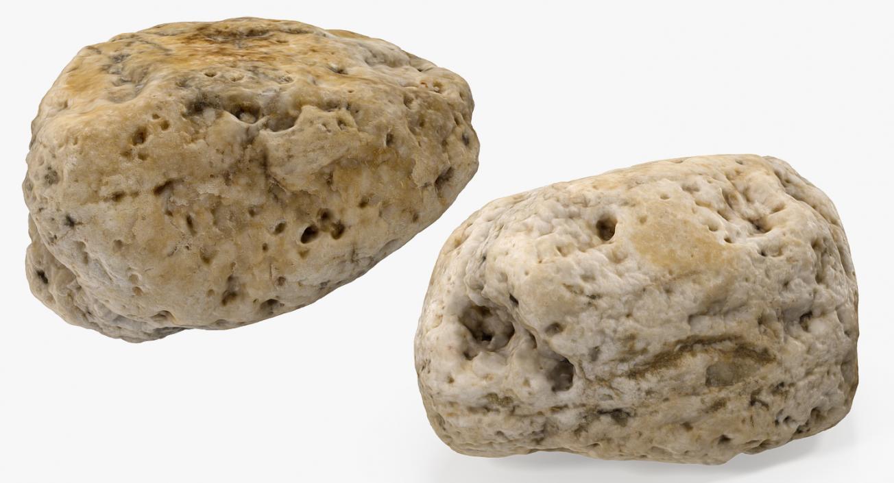 3D model Small Sea Rock with Holes