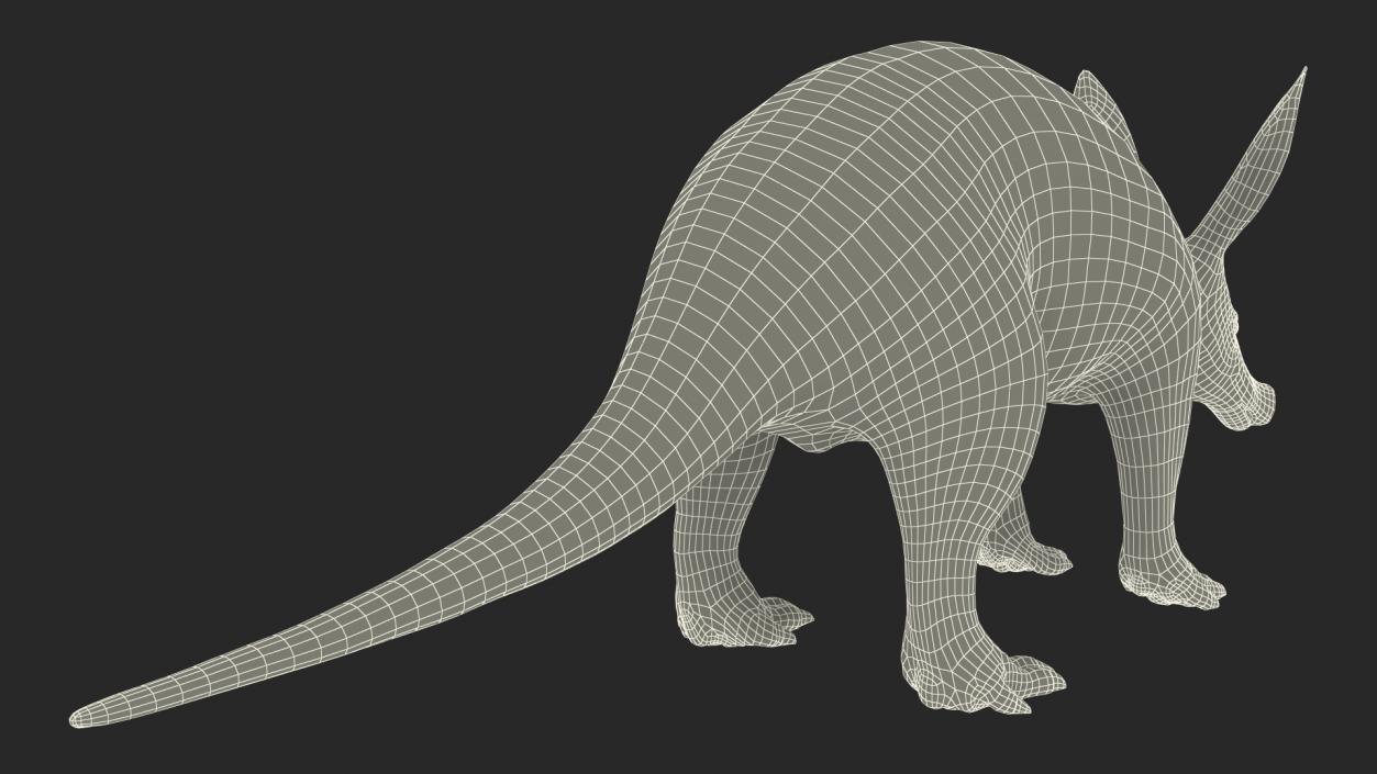 3D Orycteropus Afer Basic Pose Fur