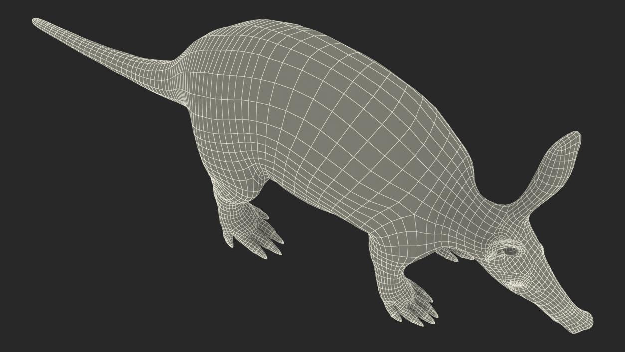 3D Orycteropus Afer Basic Pose Fur