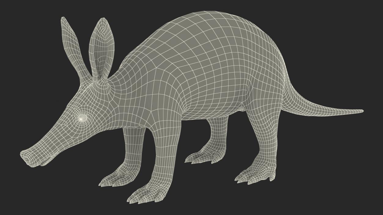 3D Orycteropus Afer Basic Pose Fur