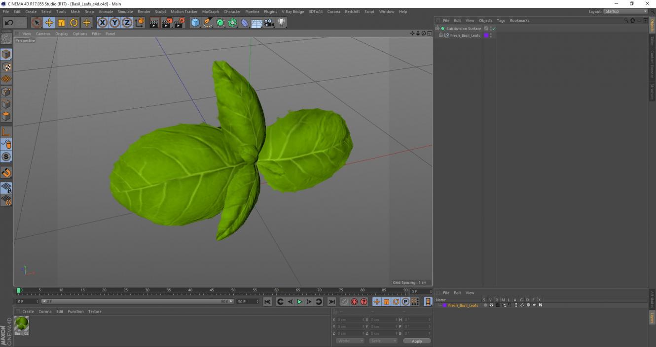 Fresh Basil Leafs 3D