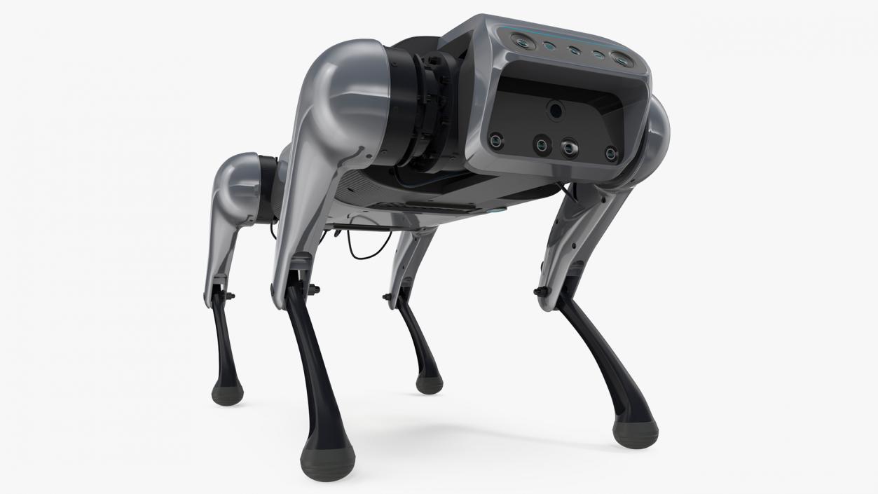 3D Robots Dog Collection 3 model