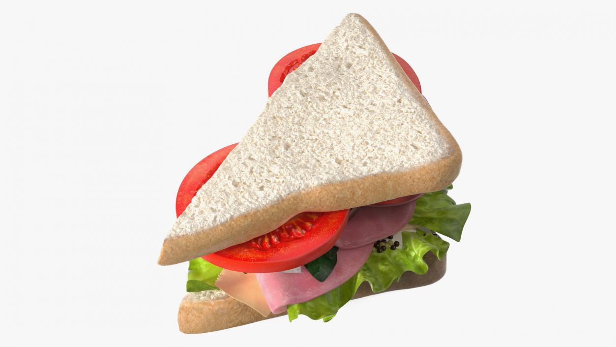 3D Handmade Triangle Sandwich