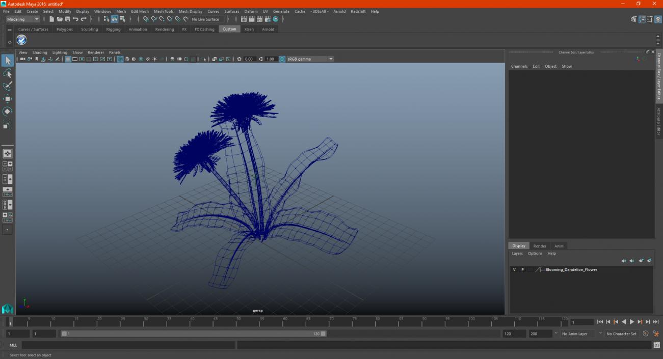 3D model Blooming Dandelion Flower