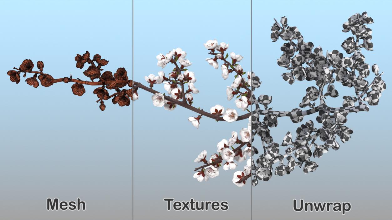 White Cherry Blossom Branch 3D