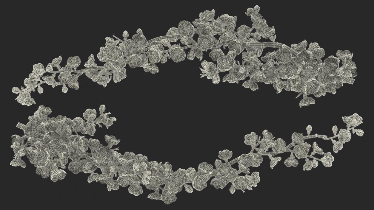 White Cherry Blossom Branch 3D