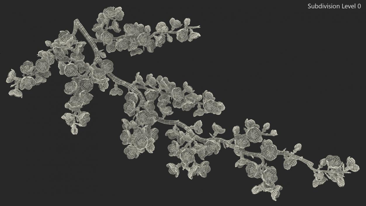 White Cherry Blossom Branch 3D