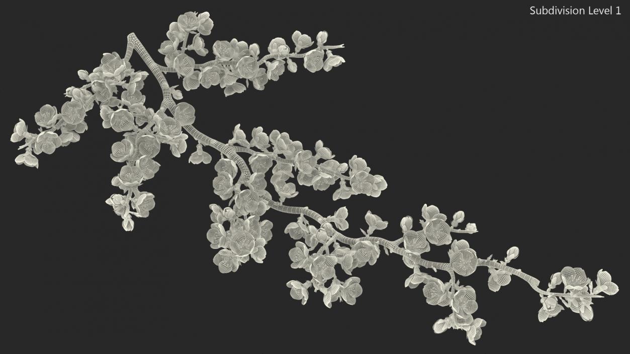 White Cherry Blossom Branch 3D