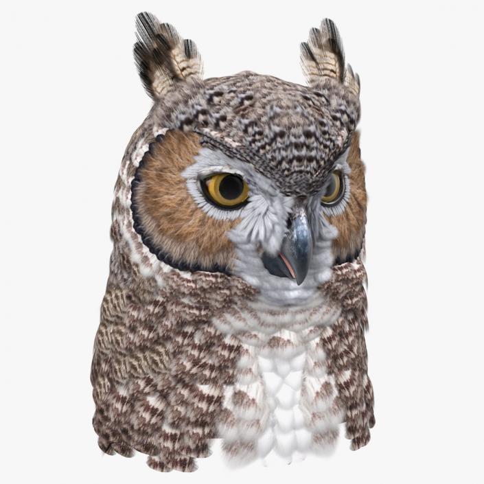 3D Great Horned Owl Head