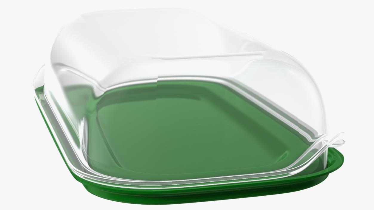 Small Rectangular Plastic Food Container with Lid 3D model