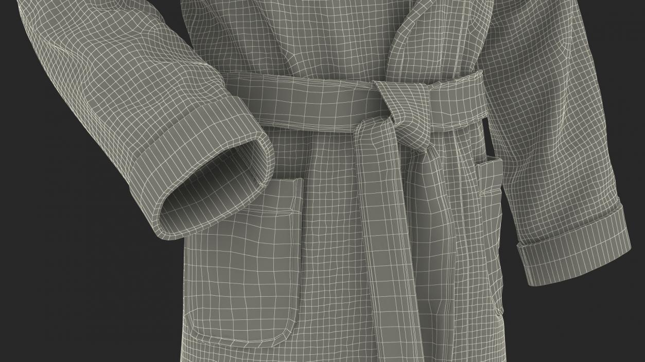 Spa Bathrobe 3D