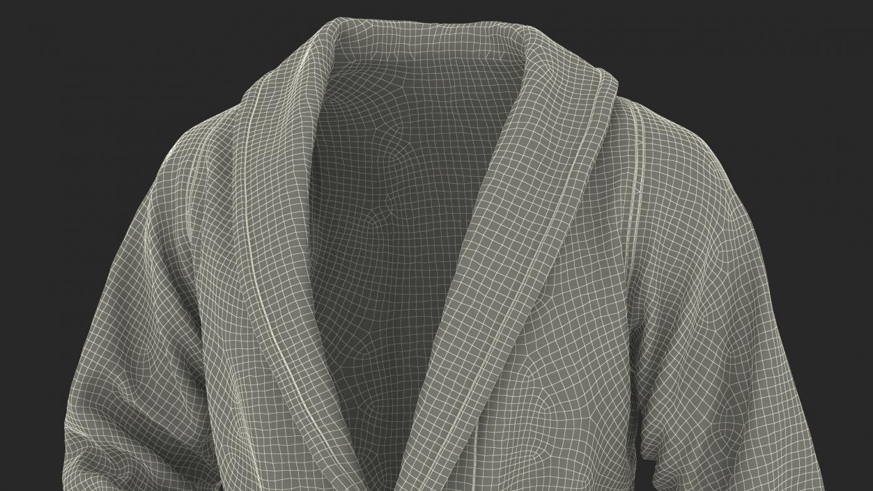 Spa Bathrobe 3D