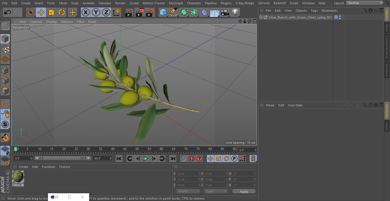 3D Olive Branch with Green Olives Lying