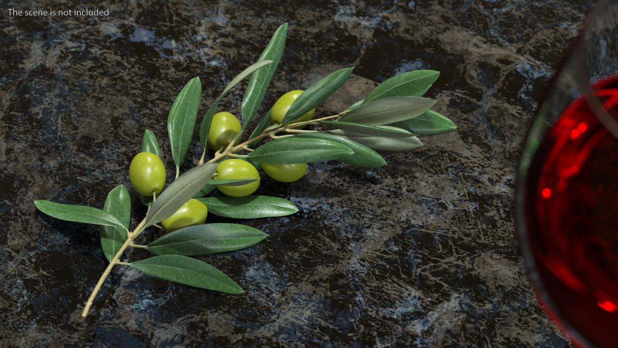 3D Olive Branch with Green Olives Lying