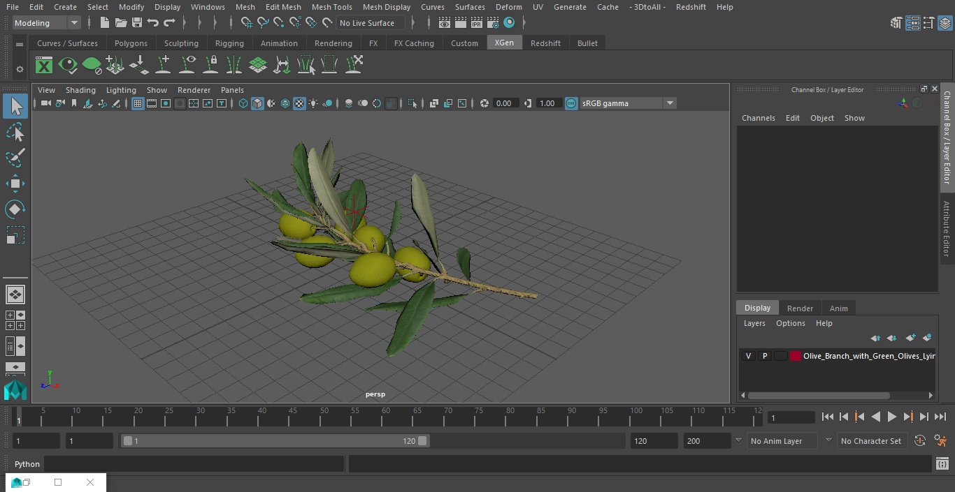 3D Olive Branch with Green Olives Lying