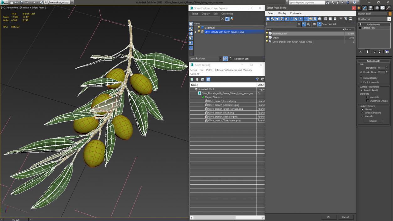 3D Olive Branch with Green Olives Lying